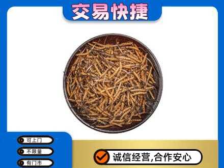 厦门礼品回收虫草.jpg
